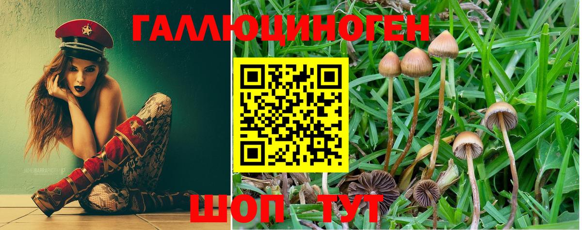 Галлюциногенные грибы MAGIC MUSHROOMS Ижевск