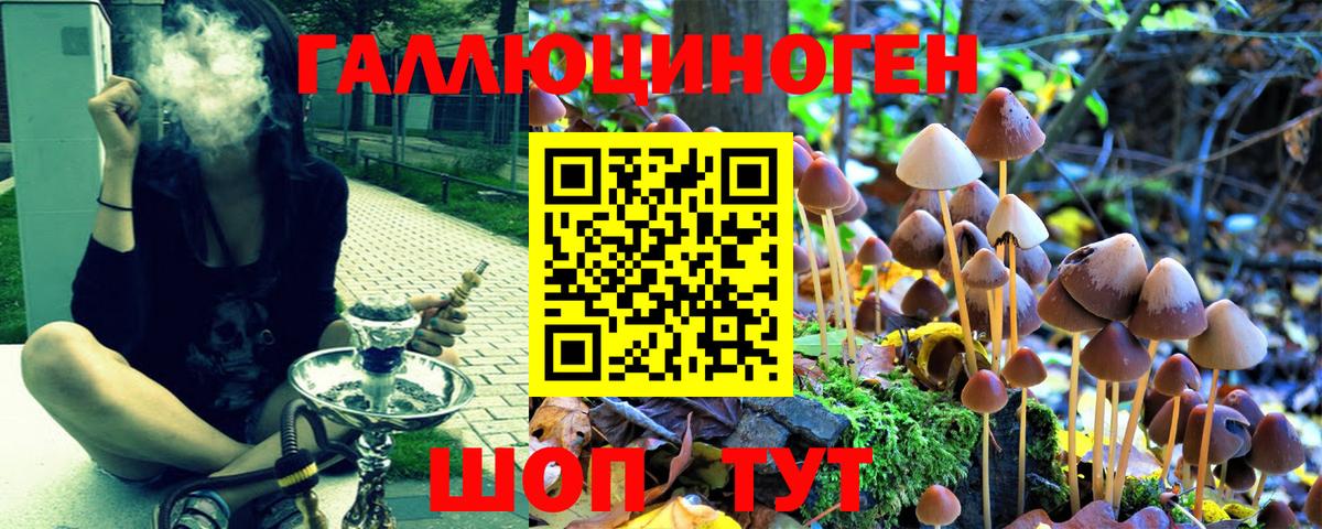 Галлюциногенные грибы мухоморы  Вход с VPN  Ижевск 